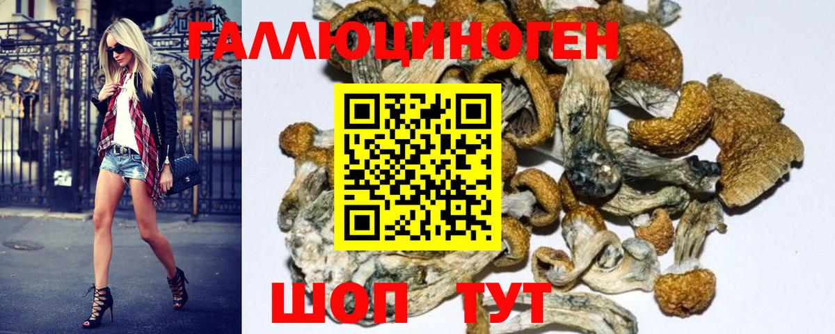 Псилоцибиновые грибы Magic Shrooms Алейск